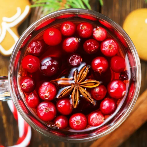 Nature's Garden Spiced Cranberry Fragrance Oil Online