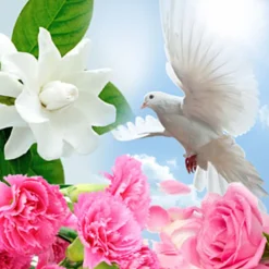 Nature's Garden Spiritual Awakening Fragrance Oil Best