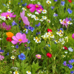 Nature's Garden Spring Wildflowers Fragrance Oil Discount