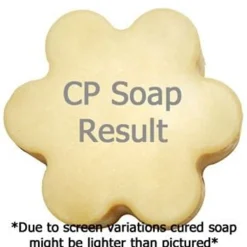 Nature's Garden Strawberry French Toast Fragrance Oil Clearance