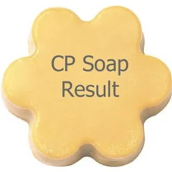 Nature's Garden Strawberry Stilettos Martini Fragrance Oil