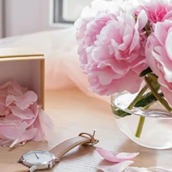 Nature's Garden Suede and Peony Fragrance Oil Outlet
