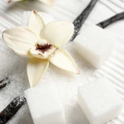 Nature's Garden Sugared Vanilla Petals Fragrance Oil Hot