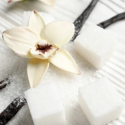 Nature's Garden Sugared Vanilla Petals Fragrance Oil Hot