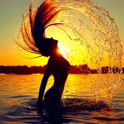 Nature's Garden Sunset Reverie Fragrance Oil Discount