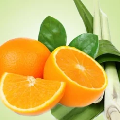 Nature's Garden Tangerine Lemongrass Fragrance Oil Best