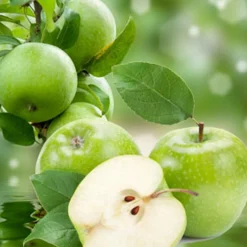 Nature's Garden Tart Green Apple Fragrance Oil Hot