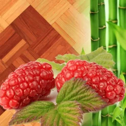 Nature's Garden Tayberry and Teakwood Fragrance Oil Best