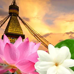 Nature's Garden Tibetian Amber Fragrance Oil Outlet