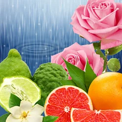 Nature's Garden Torrential Rains Fragrance Oil