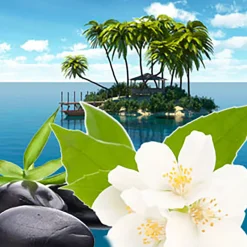 Nature's Garden Tranquil Oasis Fragrance Oil Hot