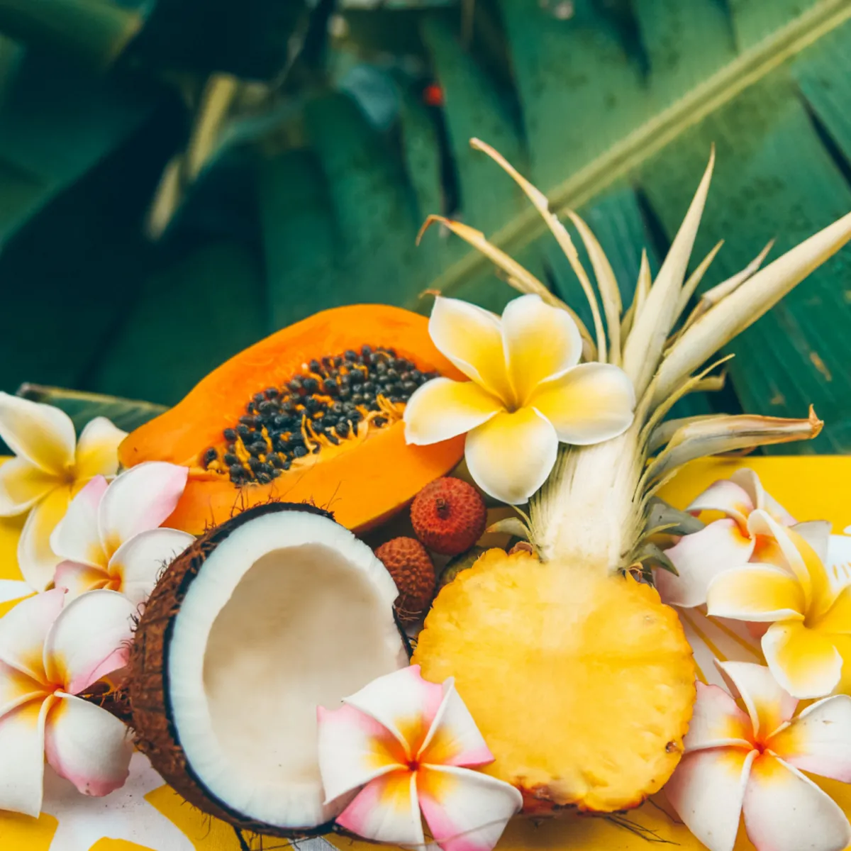 Nature's Garden Tropical Escape Fragrance Oil New