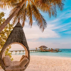 Nature's Garden Tropical Rendezvous Fragrance Oil Online