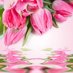 Nature's Garden Tulip Fragrance Oil Sale