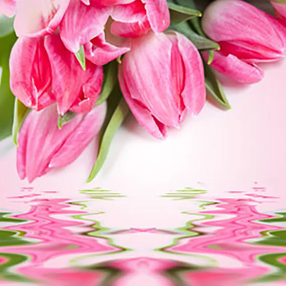 Nature's Garden Tulip Fragrance Oil Sale