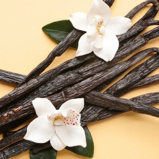 Nature's Garden Vanilla Bean Fragrance Oil Discount
