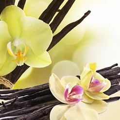 Nature's Garden Vanilla Extract Fragrance Oil