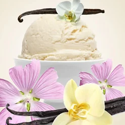 Nature's Garden Vanilla Musk Fragrance Oil Outlet