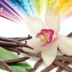 Nature's Garden Vanilla SPECTACULAR Fragrance Oil Hot