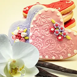 Nature's Garden Vanilla Valentine Fragrance Oil Hot