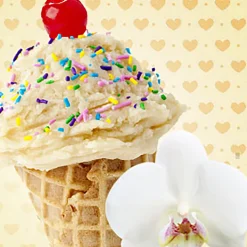 Nature's Garden Vanilla Wafer Fragrance Oil New