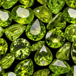 Nature's Garden Verdant Radiance Fragrance Oil