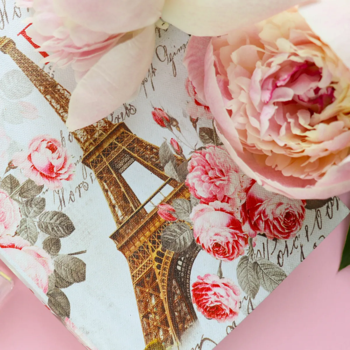 Nature's Garden What Happens in Paris Fragrance Oil Online