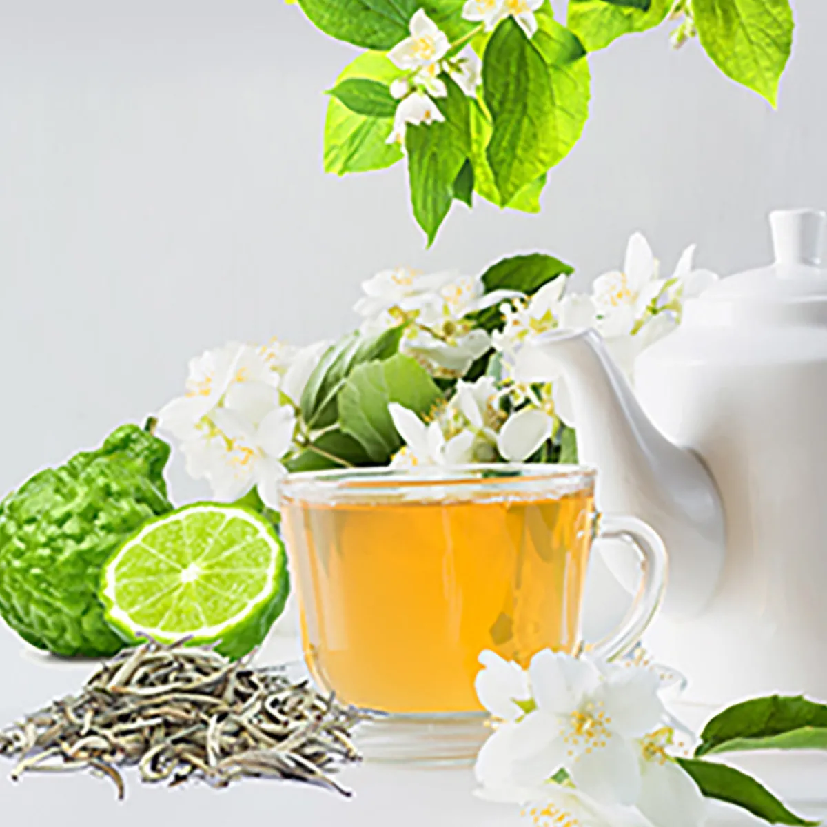 Nature's Garden White Tea and Bergamot Fragrance Oil Sale