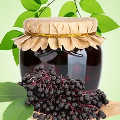 Nature's Garden Wild Elderberry Fragrance Oil Discount