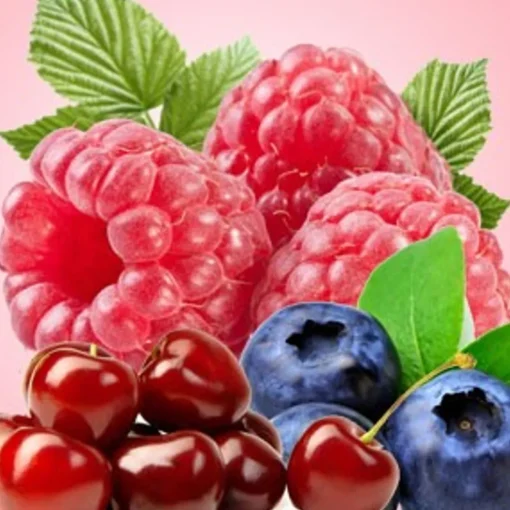 Nature's Garden Wildberry Fragrance Oil Hot