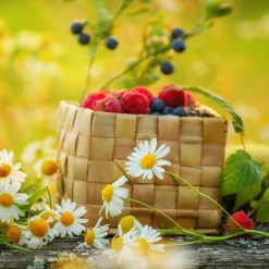 Nature's Garden Wildberry Romance Fragrance Oil Outlet