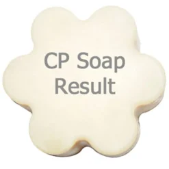 Nature's Garden Winter Birch and Pine Fragrance Oil Online