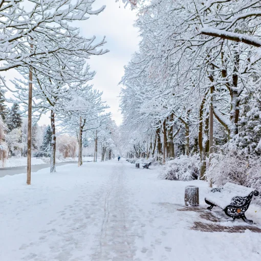 Nature's Garden Winter Garden Fragrance Oil Online