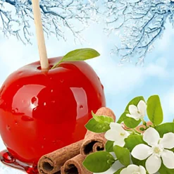 Nature's Garden Wintery Candy Apple Fragrance Oil Hot