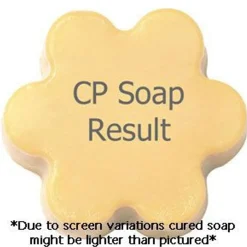 Nature's Garden Wishing for You Fragrance Oil Discount